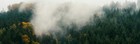 Bild 3 von 3