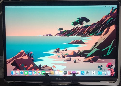 Grd B Originale MacBook Pro A1990 2018 2019 15" Grigio Siderale Schermo LCD Assemblato - Foto 3 di 9
