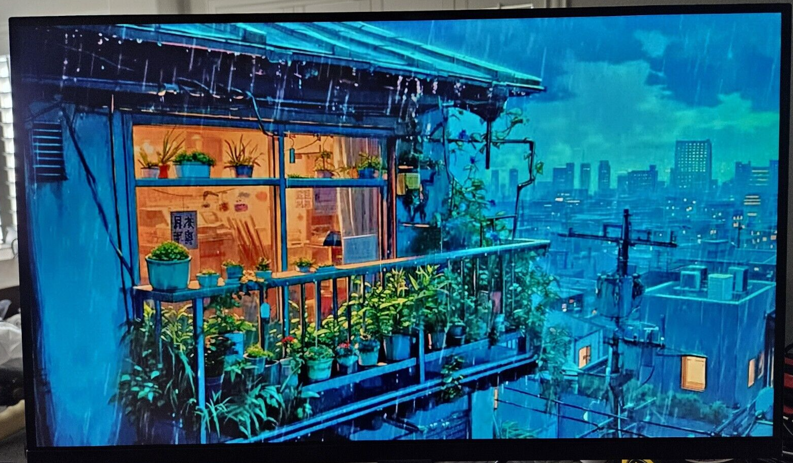 Picture 7 of 12