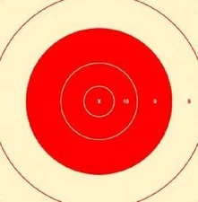 SR-1C (Red) NRA Official 100 Yard Repair Center for SR-1 Target (100) Tagboard 