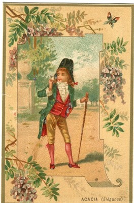 GlanzbilderOblaten scraps Litho Junge Scene Blumen Akazie  10,4 cm