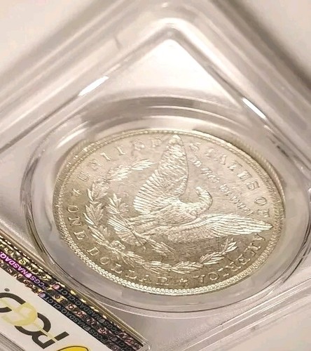 Rare Proof Like Gold Shield 1880 P PCGS MS64 PL $1 Morgan Silver Dollar - Picture 7 of 8