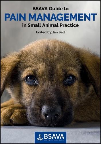 BSAVA Guide to Pain Management in Small Animal Practice Self Paperback - Image 5