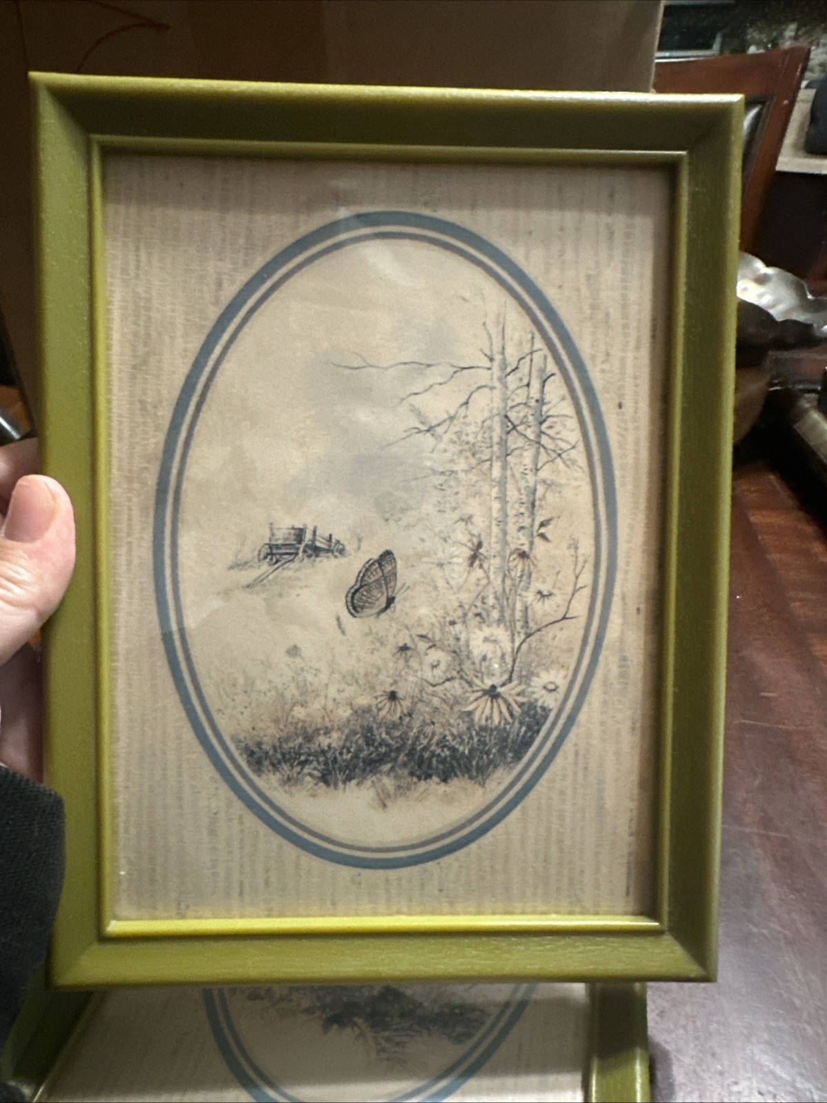 Picture 5 of 12