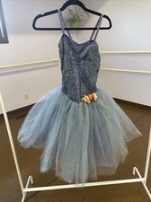 Women  s Dance Costume, Weissman dance costume, Adult Small, Slate Blue