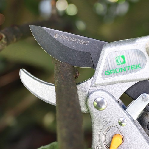 GRÜNTEK Gartenschere KAKADU, Schnittstärke 24 mm, Bypass Amboß Ratschen Schere - Bild 9 von 9
