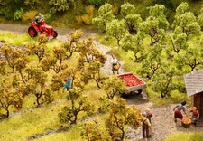 Noch scala N 21537 Alberi di melo piantagione mele  24 pezzi nuovi OVP