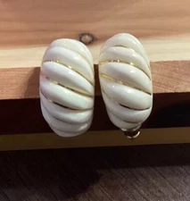 Mollusk Shell Nautical Ocean Sea Style 14kt Ribbed Seashell Gold Earrings