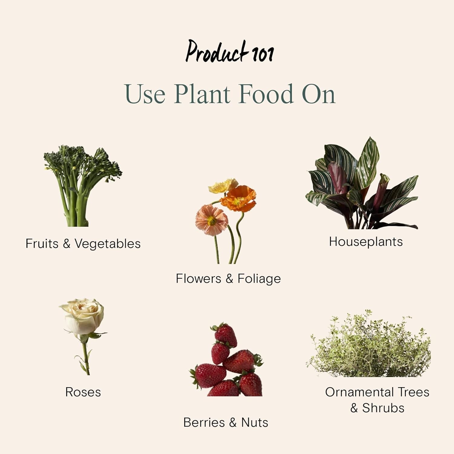 new-arber-organic-plant-food-indoor-outdoor-3-2-1-fertilizer-8oz