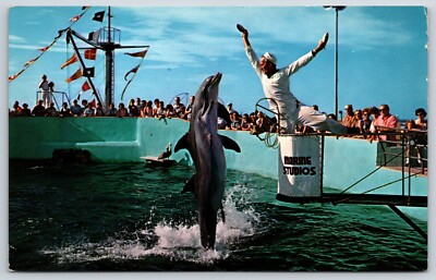 Postcard Feeding Time, Marine Studios, Florida's Famous Oceanarium, FL Unposted