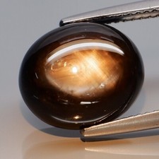 Star Sapphire 11.65 ct Black 6 Ray Star Oval 13.0x10.9x6.6 mm Untreated Thailand