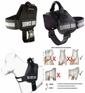 albcorp service dog vest