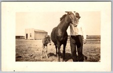 Antique RPPC Postcard Man Horse and Foal Homer, OH 1910s