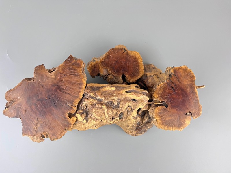 Chinese Carved Wood Stand - 04