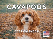 Cavapoo Calendar 2027 Monthly Wall Calender 12 Month American Made In The USA