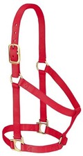 Large Red Horse Halter Flat Throat Brass Plated Hardware Durable Nylon 1 Inch