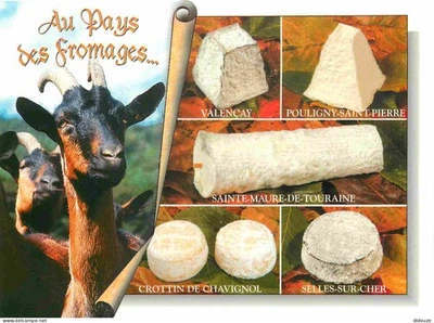 Carte Postale - Metiers - Fromager - Fromages - Fromagerie - Le Puy-en-Velay - A - Photo 1/2