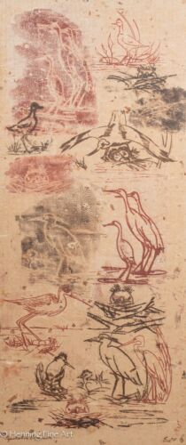 Vintage Lithograph of Water Birds Signed Erd "Population Exploration"