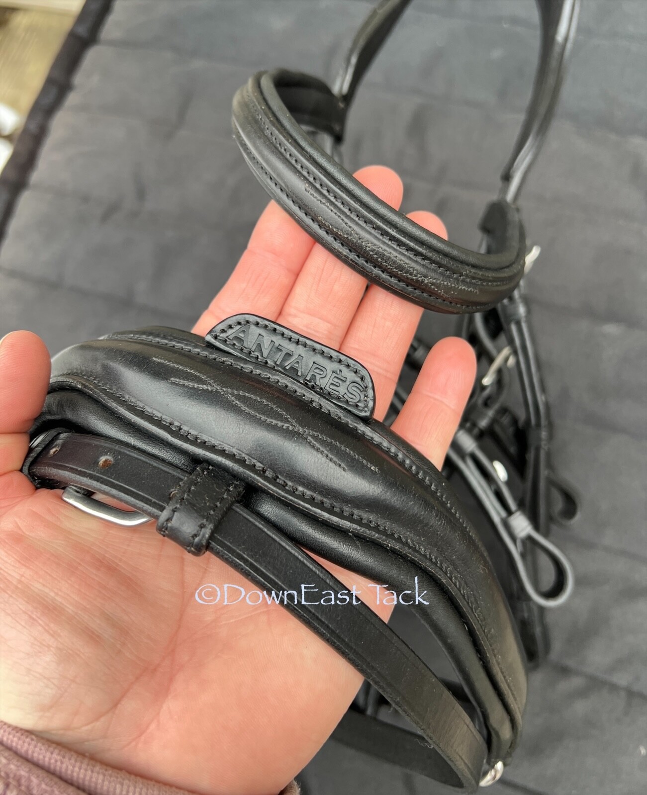 Cob-size ANTARES Original Design Dressage Double bridle - Lovely! Retail $600+