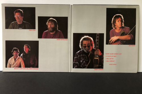 PROMO STAMPED COVER ONLY NO RECORD Grateful Dead IN THE DARK 1987 Arista VG+ - Picture 5 of 5