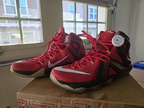 Lebron xii elite - Gem