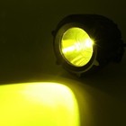 Bild 9 von 12