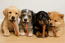 5pack  6 inch USA MADE Chews Beef Bully STICKS Dog Treat Natural THIN