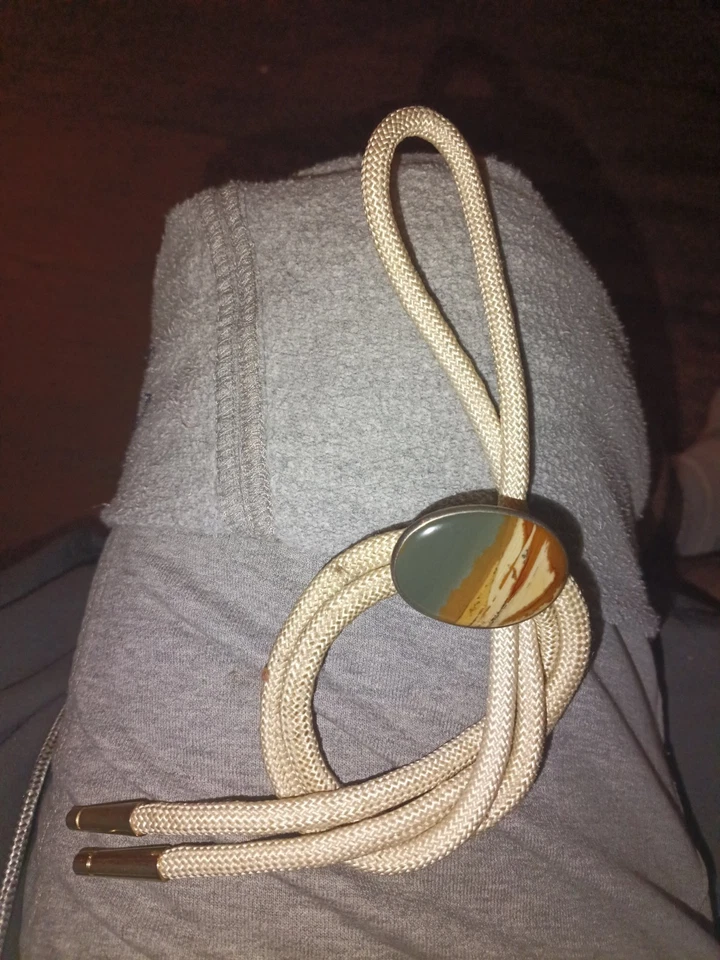 Corbata vintage antigua peón plata esterlina desierto jaspe bolo ÚNICA Foto 2 de 4