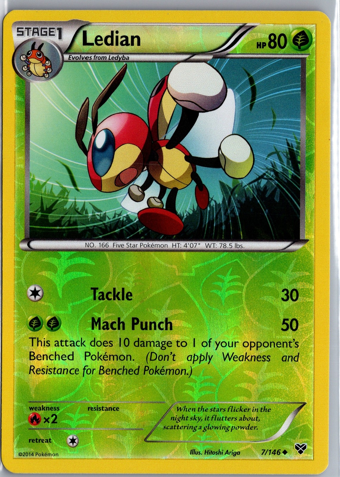 Ledian - 7/146 - Reverse Holo - XY Base - Pokemon Card LP