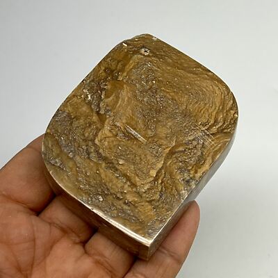 161.3g, 2.6 161.3g, 2.6