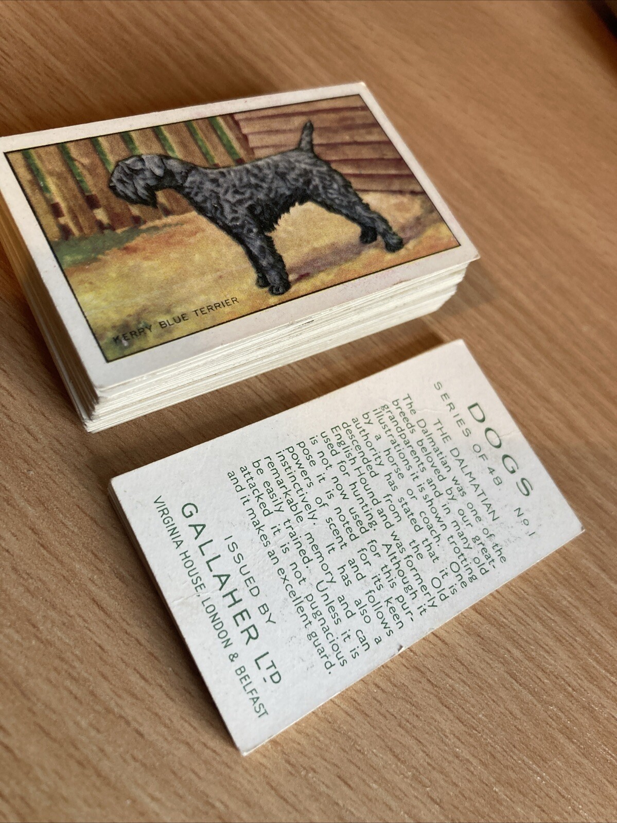 1936 Gallaher Dogs Series 1 - Cigarette Cards - Pick Your Cards