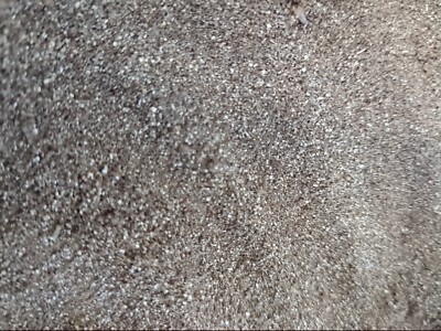 10lbs Steel Shavings Orgone Science Project Art Craft Steel Chips Filings No Oil