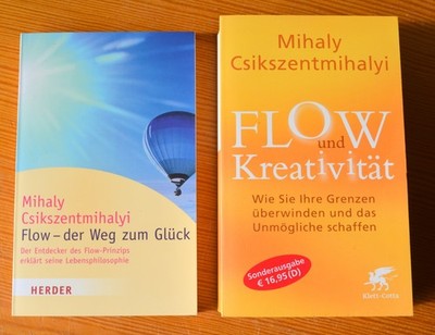Mihaly Csikszentmihalyi 2 Bücher FLOW und Kreativität + FLOW - der Weg zum Glück