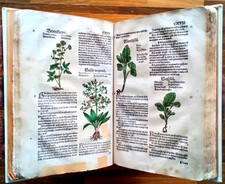 🌿 Eucarius Rösslin: LIBRO DI CREUTTER. LIBRO DEI DISTILLATI HIERONYMI BRAUNSCHWIG. 1533