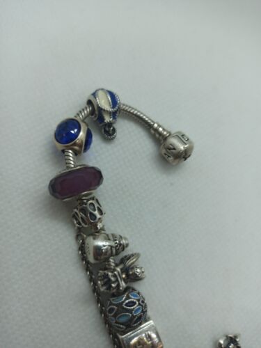 Bracciale Pandora Completo Di 13 Charms - Foto 13 di 14