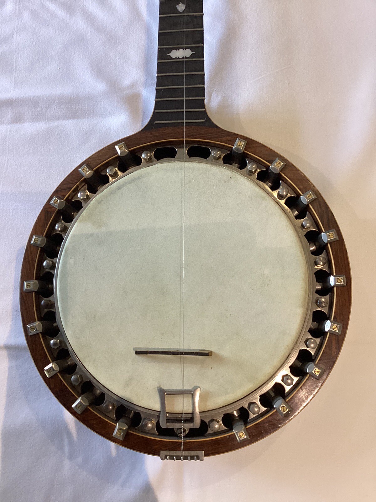 Windsor Artiste Zither Vintage. Banjo eBay