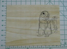 Tri Chem Ready To Paint Craft Liquid Embroidery 7045 Small Chipmunk TV Log Cover
