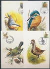 XE60232 Belgium 1986 -2004 animals fauna flora birds maxicards used