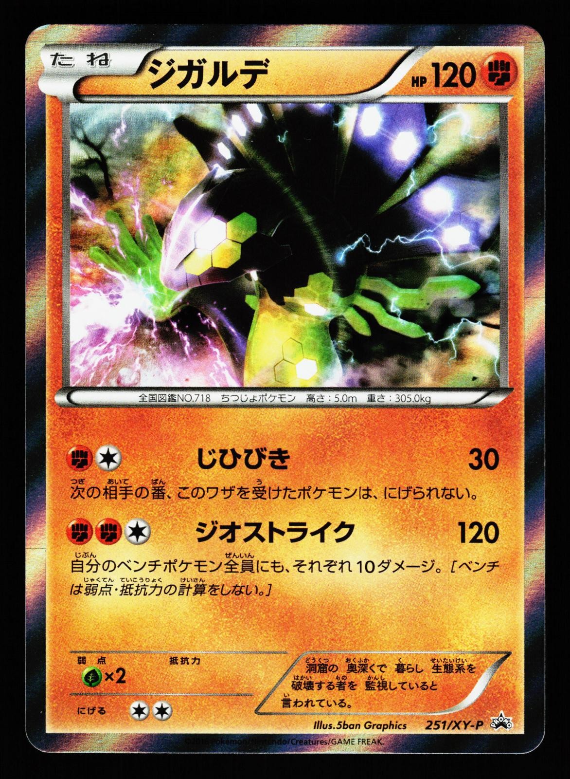 Zygarde 251/XY-P XY-P: XY Promos XY-P Holo 2013 Pokemon Japanese Lightly Played
