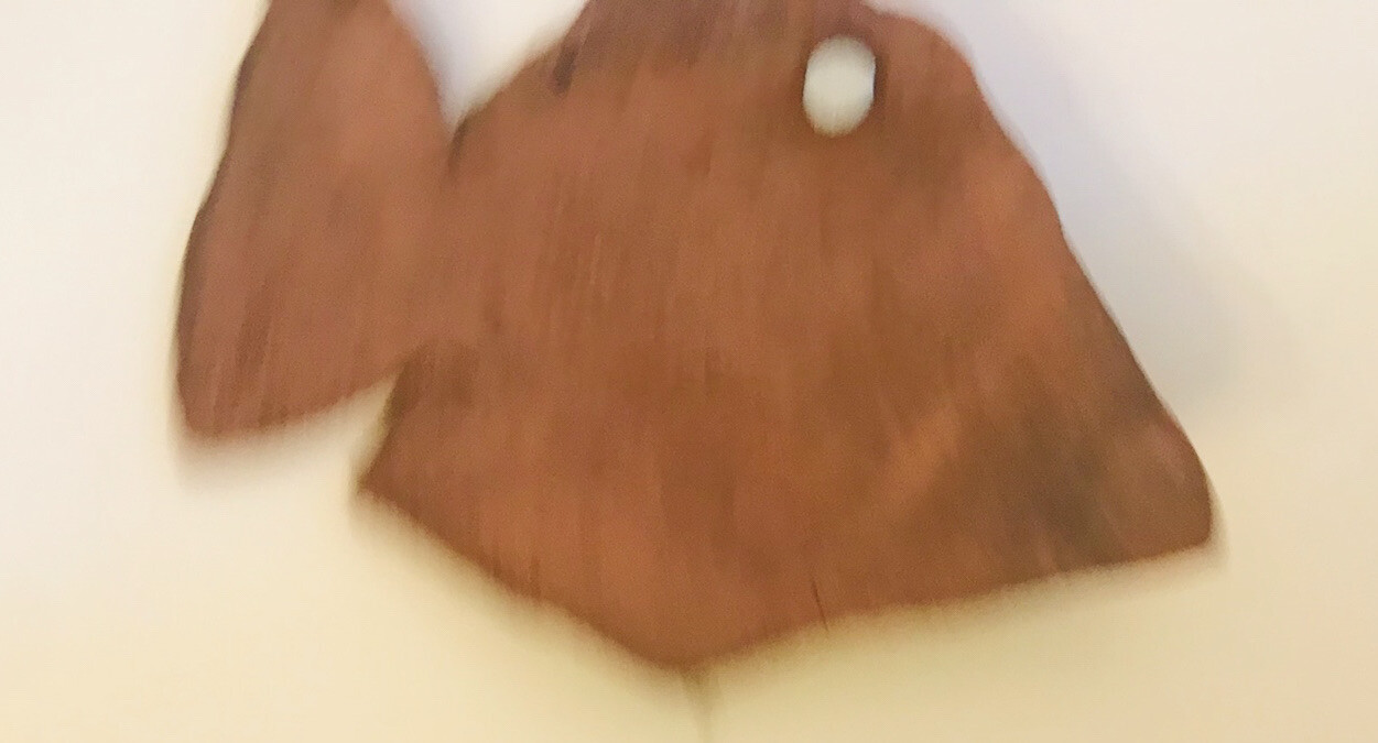 Picture 6 of 7