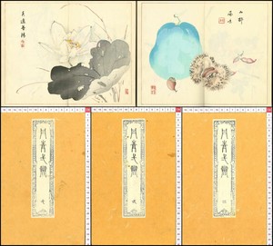 Taki Katei Tansei Ippan Beautiful Picture Japan Original Woodblock Print 3 Book