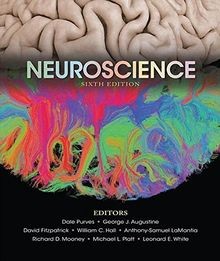 Neuroscience | Buch | Zustand sehr gut