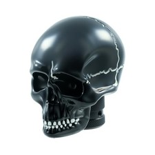 Skull Shift Knobs Driving Handle Stick Unique Cool Gear Shifter Knobs Black