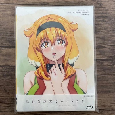 Isekai Meikyuu de Harem wo Blu-ray Vol 1 with BOX Japanese Anime