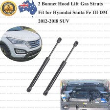 2 Front Bonnet Hood Gas Stay Lift Struts for Hyundai Santa Fe MK3 2012-2018 DM