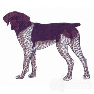 german shorthaired pointer jacket