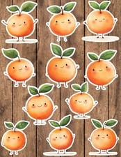 Cute Kawaii Orange Die Cut Vinyl Stickers Set Scrapbooking Laptop Waterbottle
