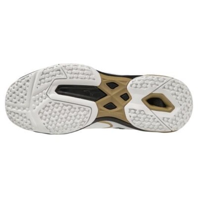 ミズノ WAVE EXCEED LIGHT 2 OC 28.0 WAVE EXCEED LIGHT 2 SW OC 61GB2319 White Gold Black MIZUNO Tennis