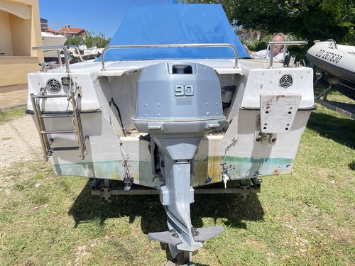 Motorboot 90PS Evinrude + Kajüte + Trailer – Gepflegt & Wartungsfrei - Bild 3 von 9