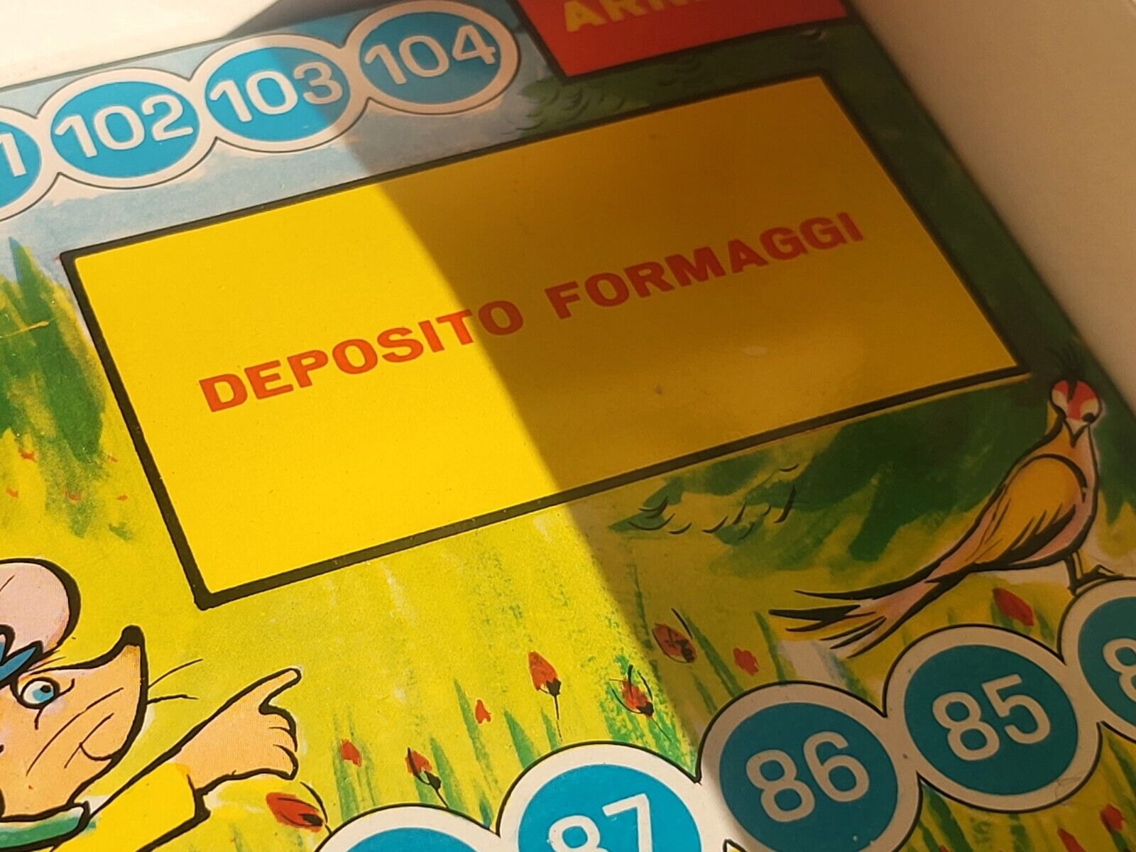 Foto 4 di 23